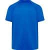 Custom Royal Blue Sports T-Shirt